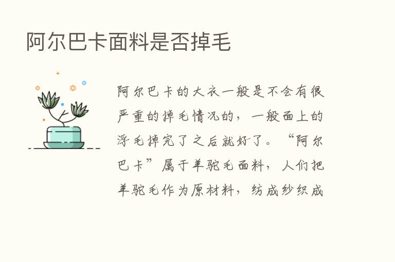 阿尔巴卡面料是否掉毛