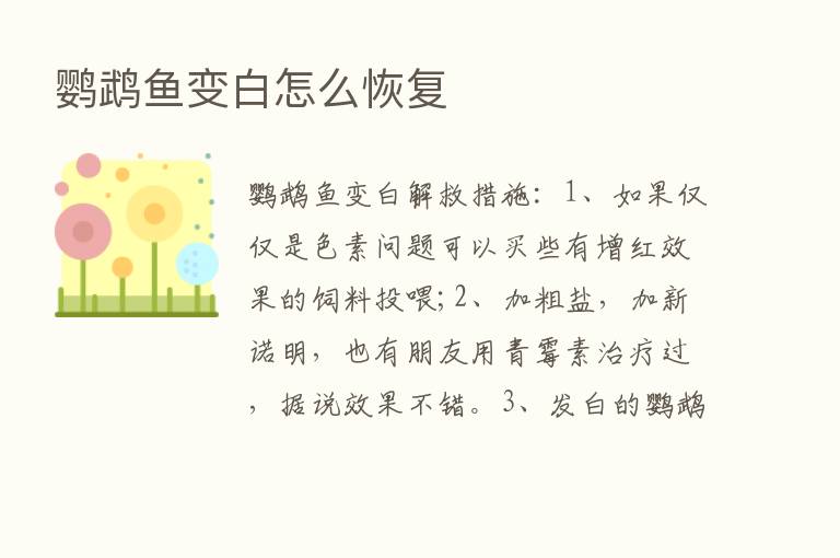 鹦鹉鱼变白怎么恢复