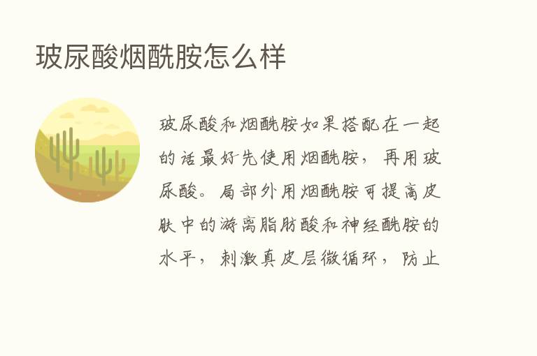 玻尿酸烟酰胺怎么样