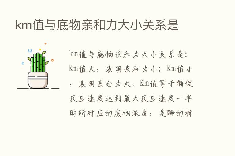 km值与底物亲和力大小关系是