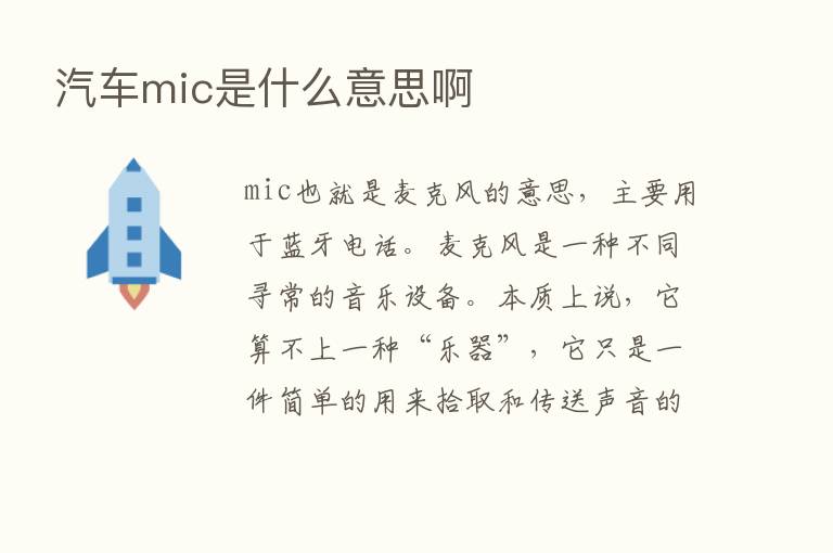 汽车mic是什么意思啊