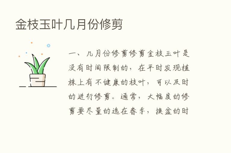 金枝玉叶几月份修剪