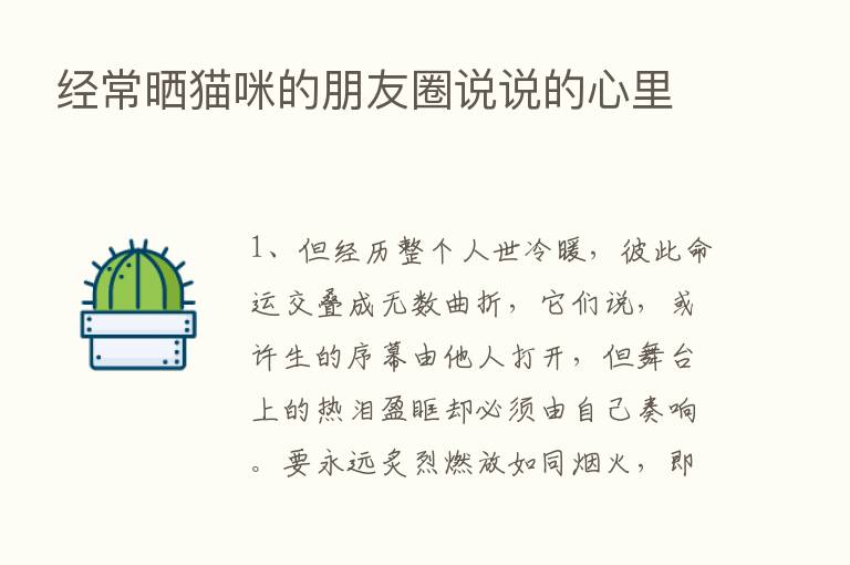 经常晒猫咪的朋友圈说说的心里