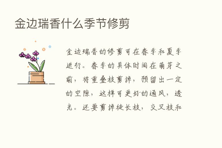 金边瑞香什么季节修剪