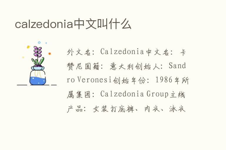 calzedonia中文叫什么