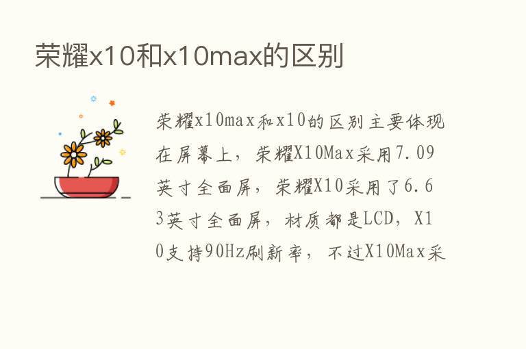       x10和x10max的区别