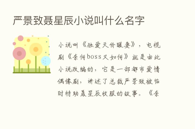 严景致聂星辰小说叫什么名字