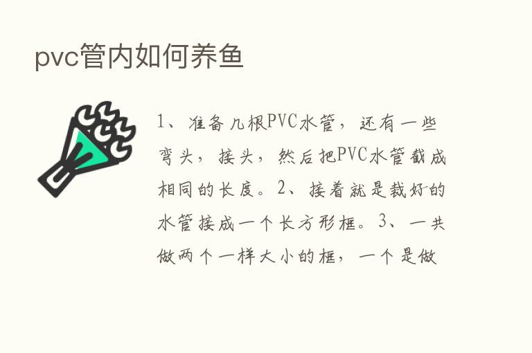 pvc管内如何养鱼