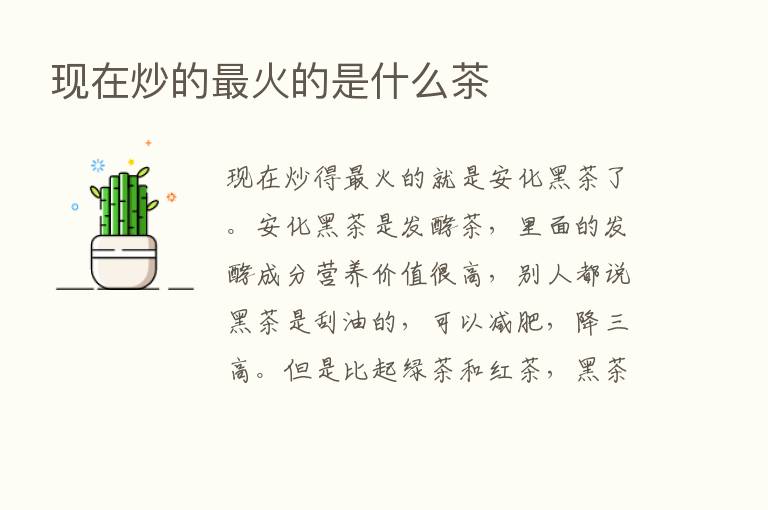 现在炒的   火的是什么茶