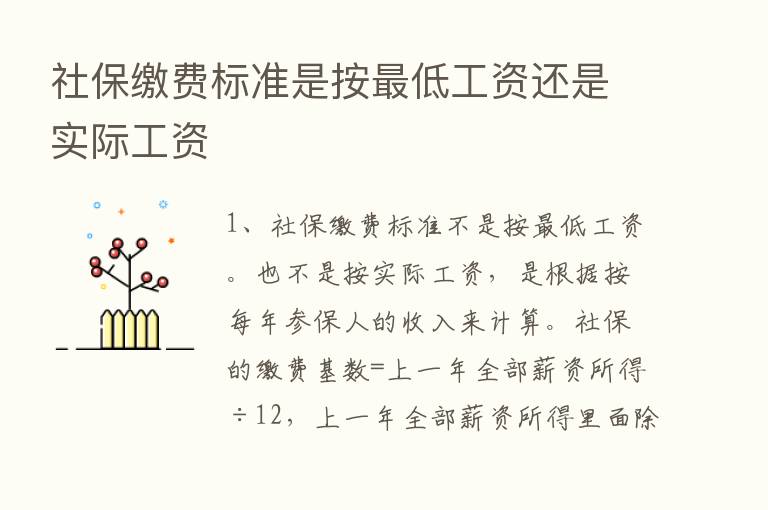 社保缴费标准是按   低工资还是实际工资