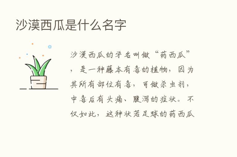 沙漠西瓜是什么名字