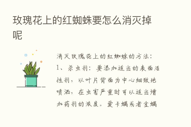 玫瑰花上的红蜘蛛要怎么消灭掉呢