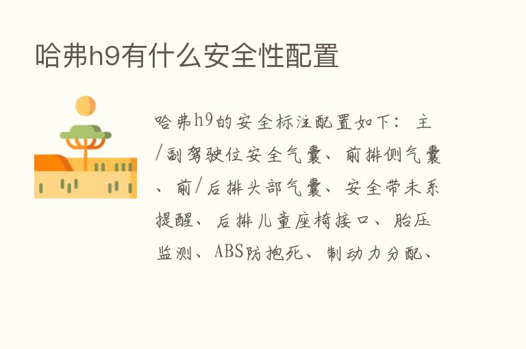 哈弗h9有什么安全性配置