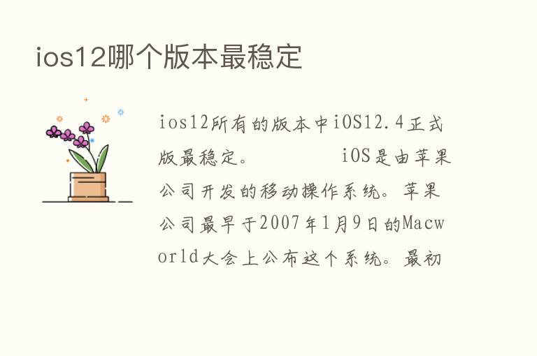 ios12哪个版本   稳定