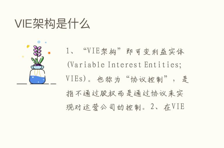 VIE架构是什么