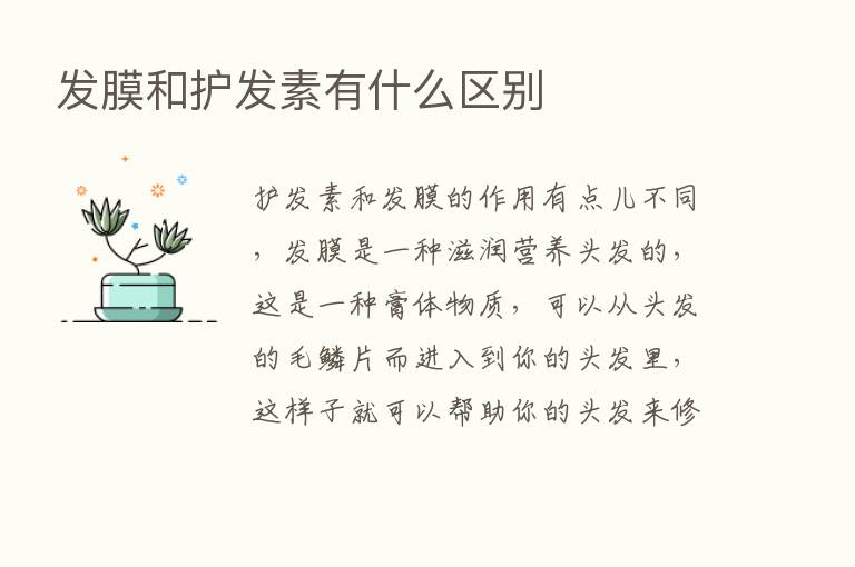 发膜和护发素有什么区别