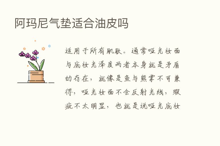 阿玛尼气垫适合油皮吗