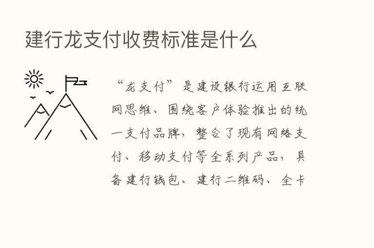 建行龙支付收费标准是什么