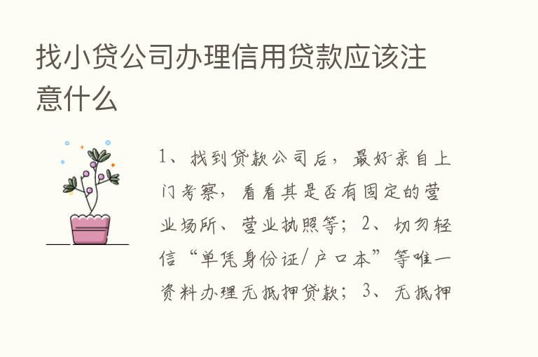 找小贷公司办理信用贷款应该注意什么