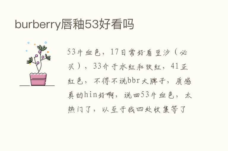 burberry唇釉53好看吗