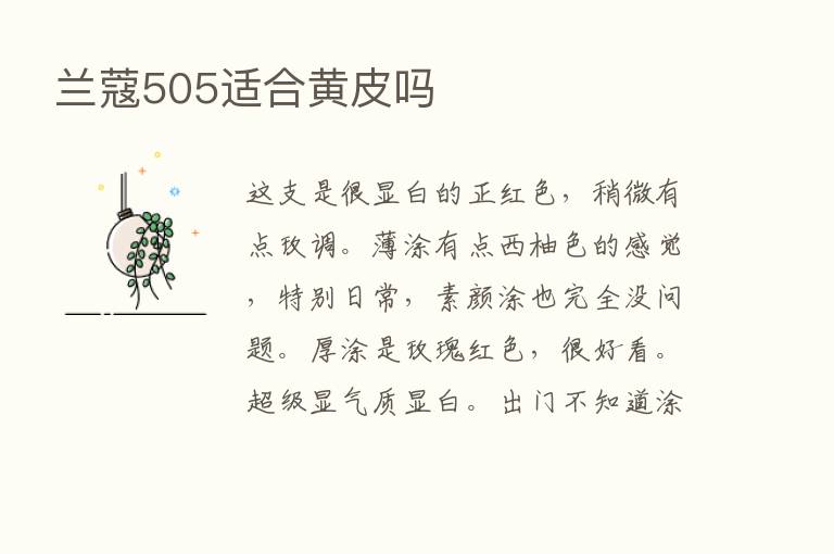 兰蔻505适合黄皮吗