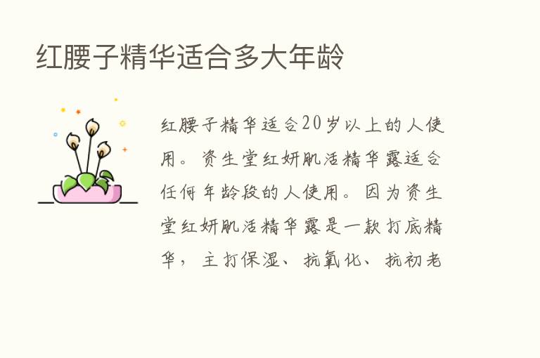 红腰子精华适合多大年龄