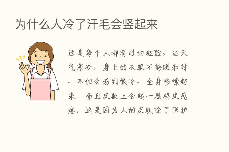 为什么人冷了汗毛会竖起来