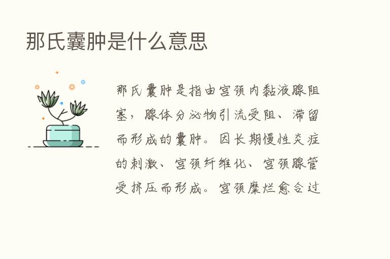 那氏囊肿是什么意思