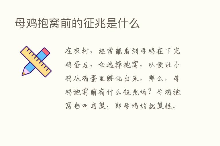 母鸡抱窝前的征兆是什么