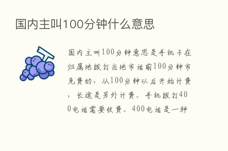 国内主叫100分钟什么意思