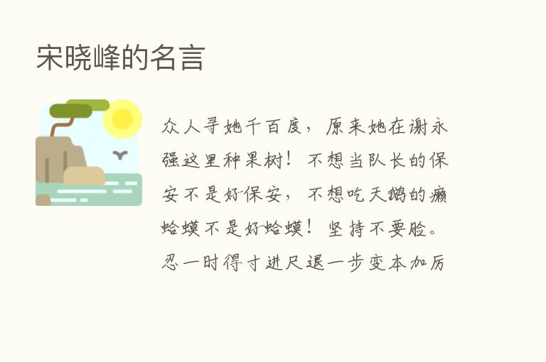 宋晓峰的名言