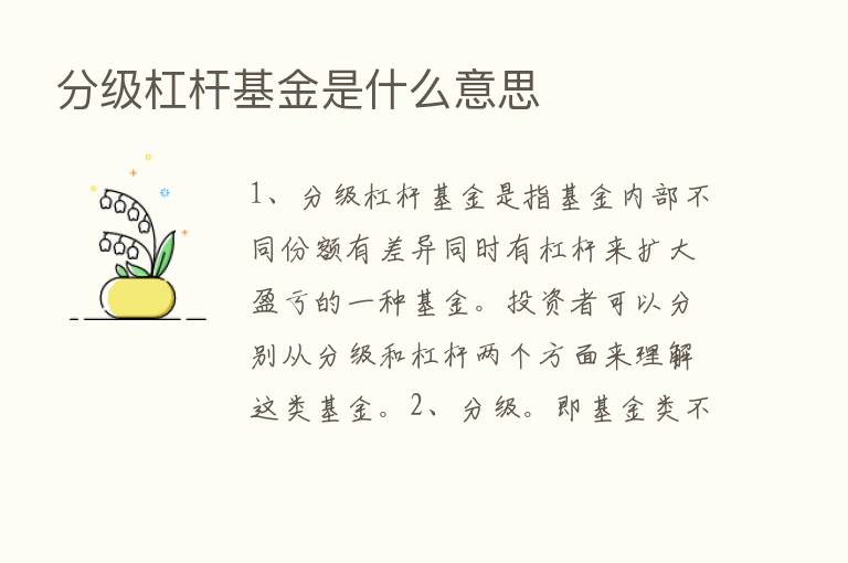 分级杠杆基金是什么意思