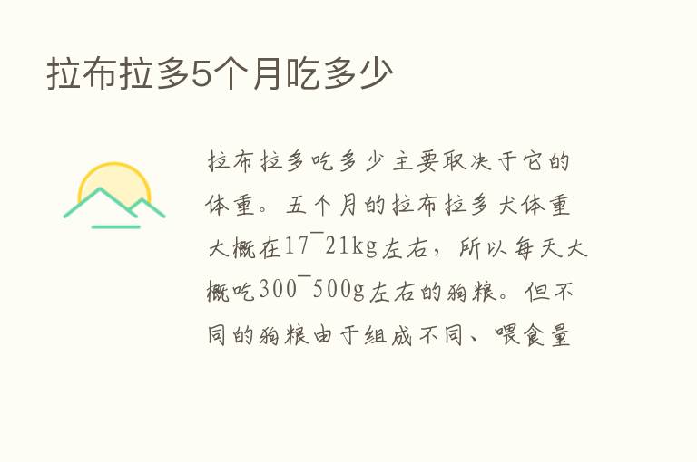 拉布拉多5个月吃多少