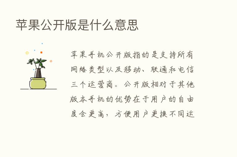 苹果公开版是什么意思