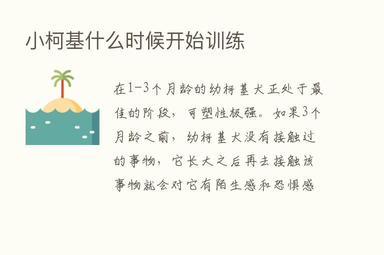 小柯基什么时候开始训练