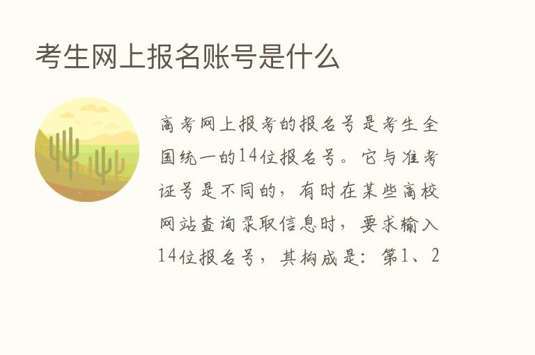 考生网上报名账号是什么