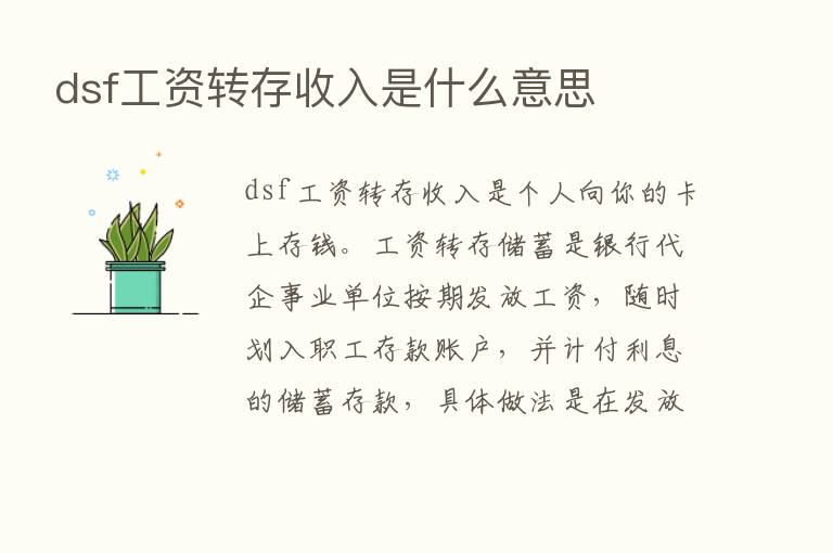 dsf工资转存收入是什么意思