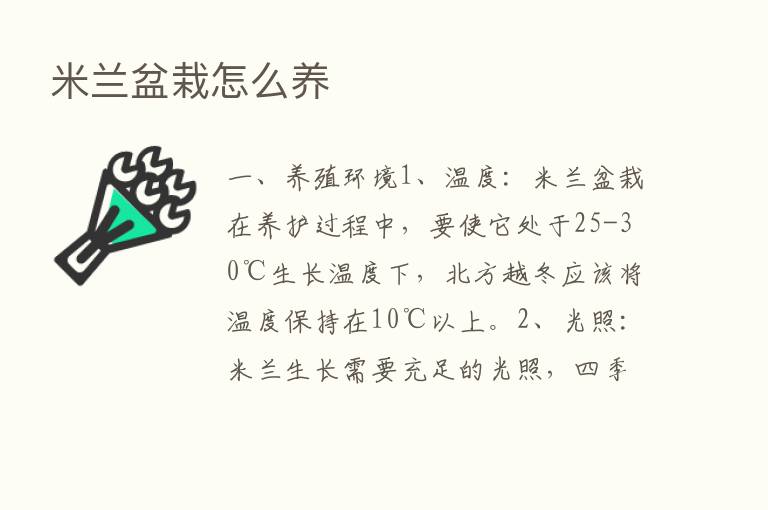 米兰盆栽怎么养