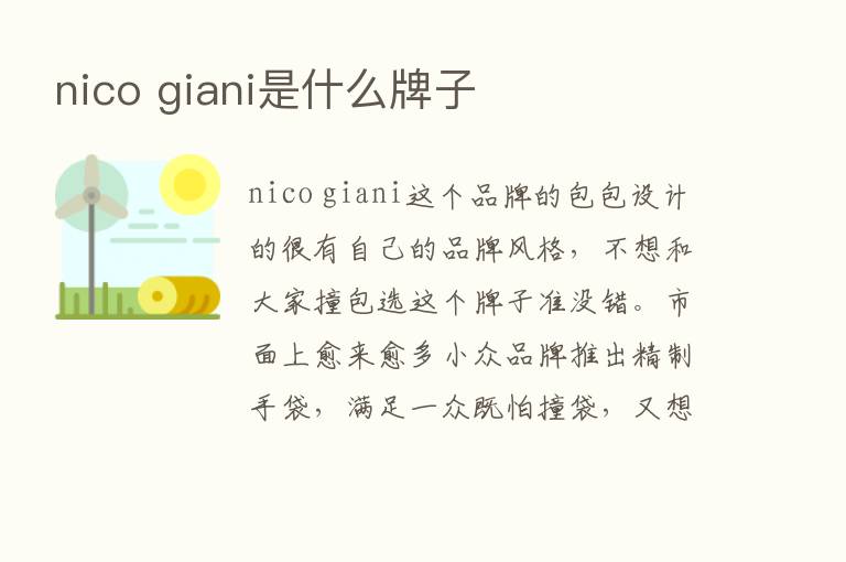 nico giani是什么牌子