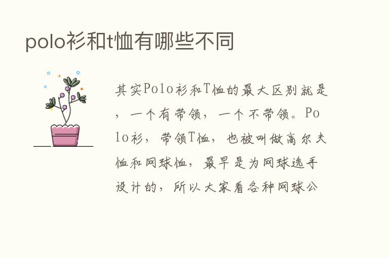 polo衫和t恤有哪些不同