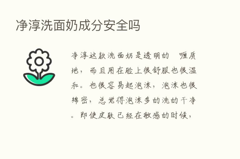 净淳洗面奶成分安全吗