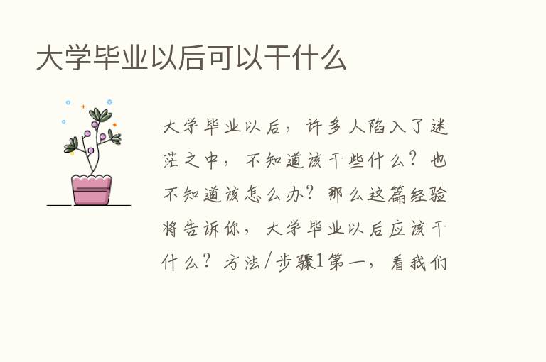 大学毕业以后可以干什么