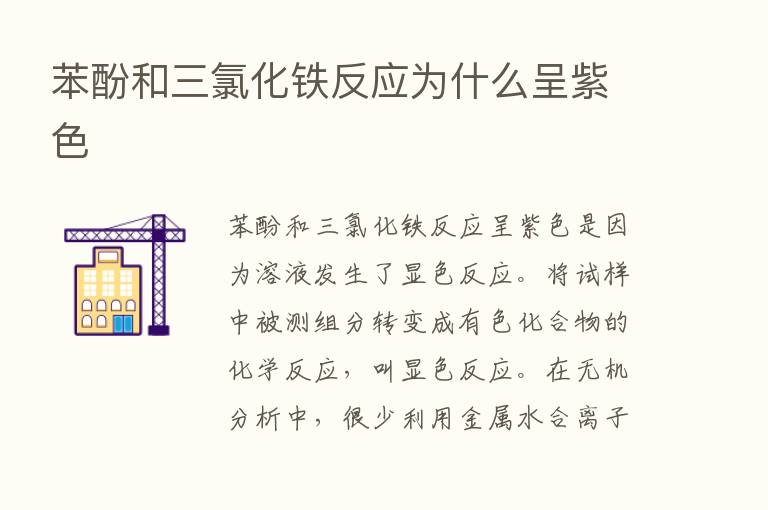 苯酚和三氯化铁反应为什么呈紫色