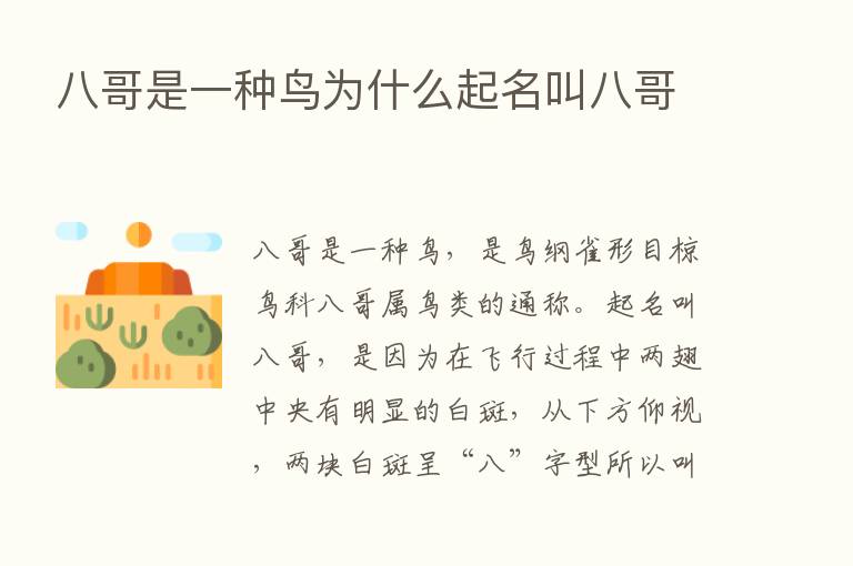 八哥是一种鸟为什么起名叫八哥