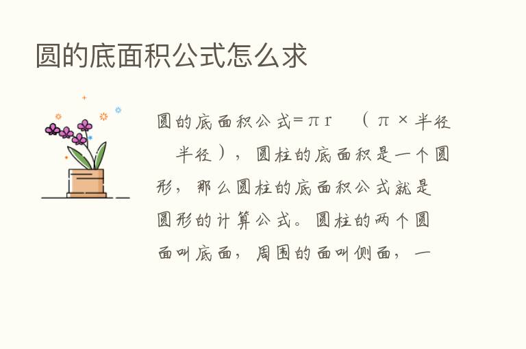 圆的底面积公式怎么求