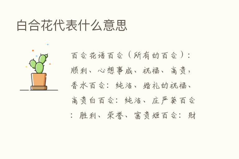 白合花代表什么意思