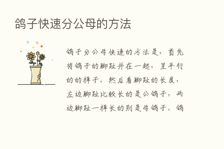 鸽子快速分公母的方法