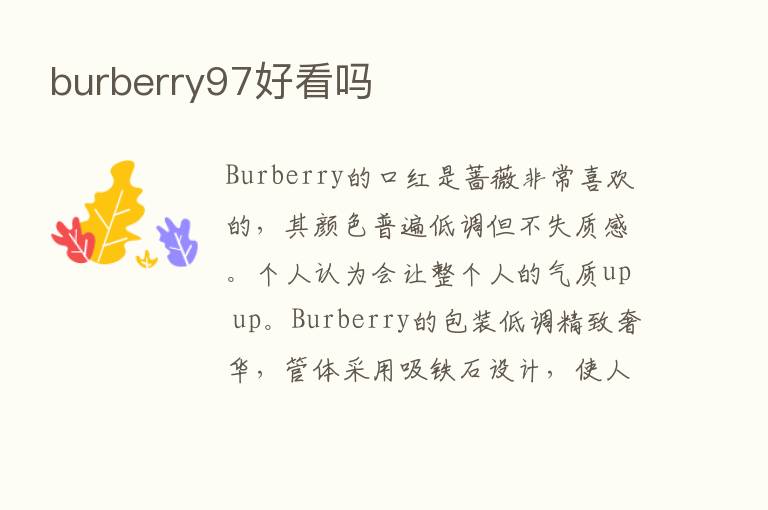 burberry97好看吗