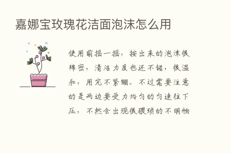 嘉娜宝玫瑰花洁面泡沫怎么用