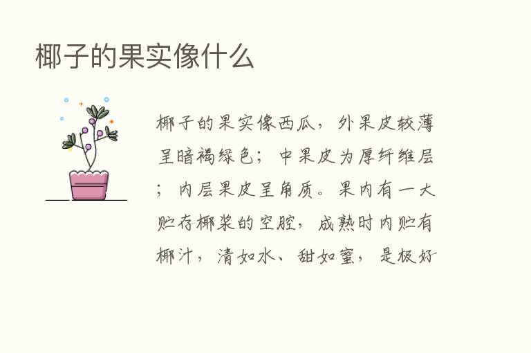 椰子的果实像什么